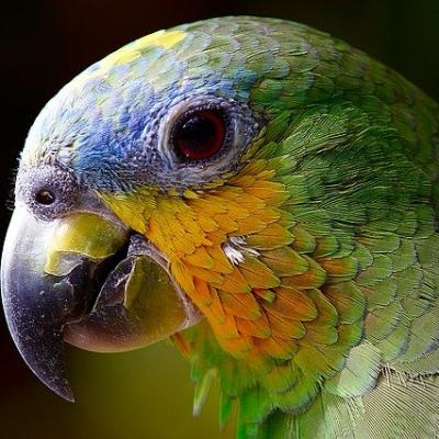 Natureza e suas Belezas